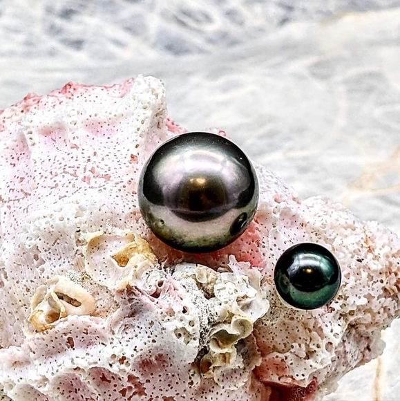 Meet your Posher, Vashti - Picture 12 of 13